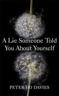 Produktbild: A Lie Someone Told You About Yourself