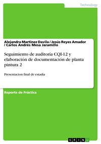Produktbild: Seguimiento de auditor&iacute;a CQI-12 y elaboraci&oacute;n de documentaci&oacute;n de planta pintura 2