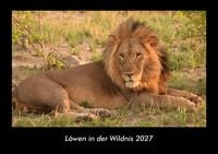 Produktbild: L&ouml;wen in der Wildnis 2027 Fotokalender DIN A3