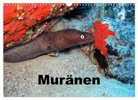Produktbild: Mur&auml;nen (Wandkalender 2027 DIN A3 quer), CALVENDO Monatskalender