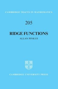 Produktbild: Ridge Functions