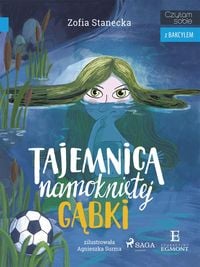 Produktbild: Tajemnica namoknietej gabki