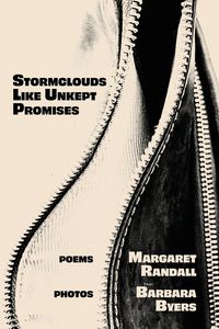 Produktbild: Stormclouds Like Unkept Promises
