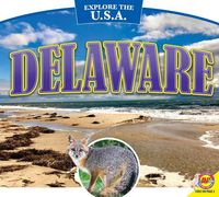 Produktbild: Durrie, K: Delaware