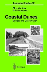 Produktbild: Coastal Dunes