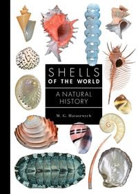Produktbild: Shells of the World
