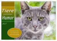 Produktbild: Tiere und feiner Humor (Wandkalender 2027 DIN A3 quer), CALVENDO Monatskalender