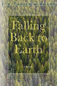 Produktbild: Falling Back To Earth