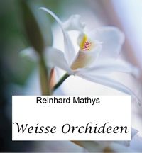 Produktbild: Weisse Orchideen