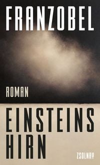 Produktbild: Einsteins Hirn