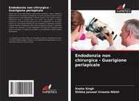 Produktbild: Endodonzia non chirurgica - Guarigione periapicale