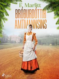 Produktbild: Br&oacute;&eth;urd&oacute;ttir amtmannsins