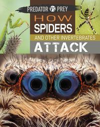 Produktbild: Predator vs Prey: How Spiders and other Invertebrates Attack