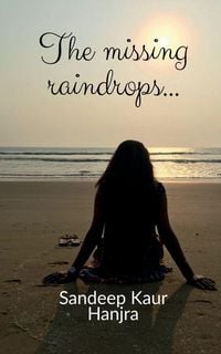 Produktbild: The missing raindrops