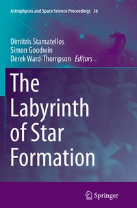 Produktbild: The Labyrinth of Star Formation
