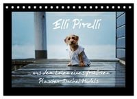 Produktbild: Elli Pirelli... aus dem Leben eines fr&ouml;hlichen Pinscher-Dackel-M&auml;dels (Tischkalender 2027 DIN A5 quer), CALVENDO Monatskalender