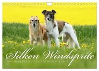 Produktbild: Silken Windsprite - Mit Merlin und Calisto durch&acute;s Jahr 2026 (Wandkalender 2026 DIN A4 quer), CALVENDO Monatskalender