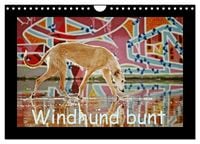 Produktbild: Windhund bunt (Wandkalender 2026 DIN A4 quer), CALVENDO Monatskalender