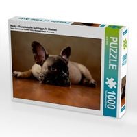 Produktbild: Rocky - Franz&ouml;sische Bulldogge,16 Wochen (Puzzle)