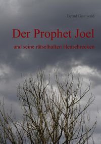 Produktbild: Der Prophet Joel