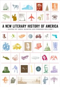 Produktbild: A New Literary History of America