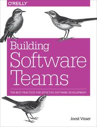 Produktbild: Building Software Teams