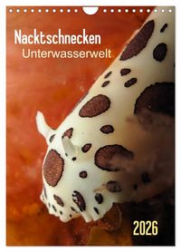 Produktbild: Nacktschnecken - Unterwasserwelt 2026 (Wandkalender 2026 DIN A4 hoch), CALVENDO Monatskalender