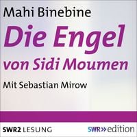 Bild vom Artikel Die Engel von Sidi Moumen vom Autor Mahi Binebine