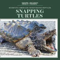 Produktbild: Snapping Turtles