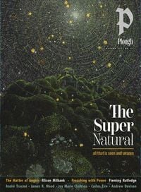 Produktbild: Plough Quarterly No. 45 - The Supernatural