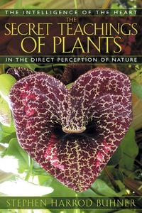 Produktbild: The Secret Teachings of Plants