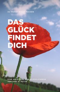Produktbild: Du Musst Nicht Suchen das Gl&uuml;ck Findet Dich