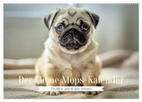 Produktbild: Der kleine Mops-Kalender (Wandkalender 2027 DIN A2 quer), CALVENDO Monatskalender