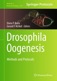 Produktbild: Drosophila Oogenesis