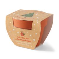 Produktbild Grow your own Christmas Tree