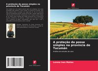 Produktbild: A prote&ccedil;&atilde;o da posse simples na prov&iacute;ncia de Tucum&aacute;n