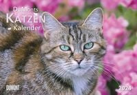 Bild vom Artikel DUMONTS Katzenkalender 2024 - Broschürenkalender - Wandkalender - mit Schulferienterminen - Format 42 x 29 cm vom Autor 