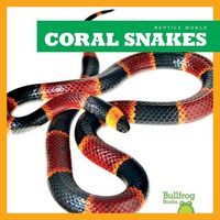 Produktbild: Coral Snakes