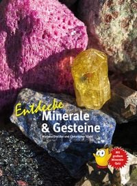 Bild vom Artikel Entdecke Minerale & Gesteine vom Autor Marlene Dreizler