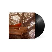Produktbild: Waiting to Spill (Vinyl)