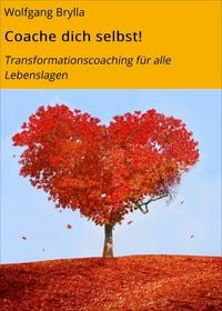 Produktbild: Coache dich selbst!