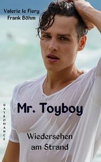 Produktbild: Mr. Toyboy