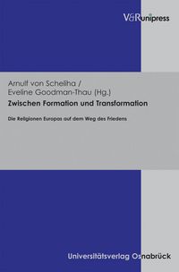Produktbild: Zwischen Formation und Transformation