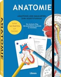 Produktbild: Anatomie &ndash; Anleitung und Malkarten zum Selbststudium