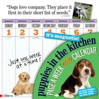 Produktbild: Puppies in the Kitchen Page-A-Week Calendar [With Magnet(s)]