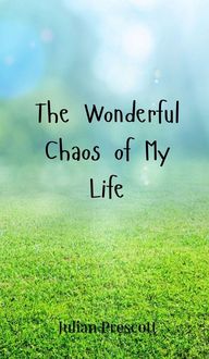 Produktbild: The Wonderful Chaos of My Life