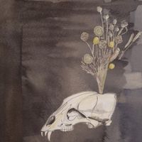 Produktbild: Seasonal Hire (Clear Vinyl)
