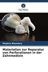 Produktbild: Materialien zur Reparatur von Perforationen in der Zahnmedizin
