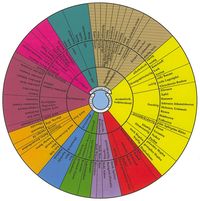 Bild vom Artikel Bier-Aroma-Guide vom Autor 
