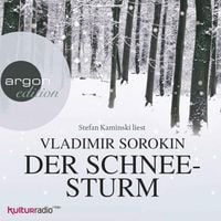 Produktbild Der Schneesturm